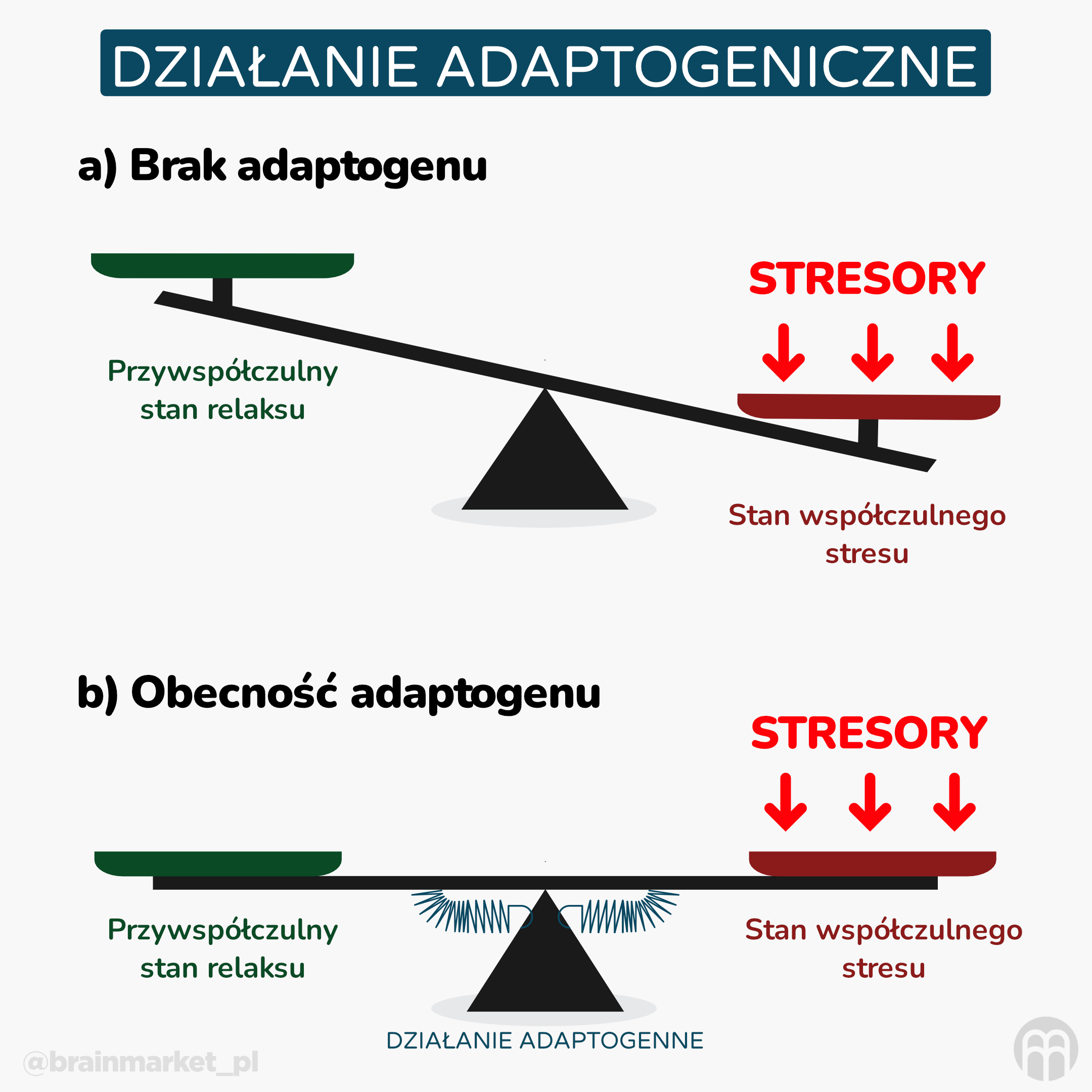 adaptogenní efekt_infografika_pl
